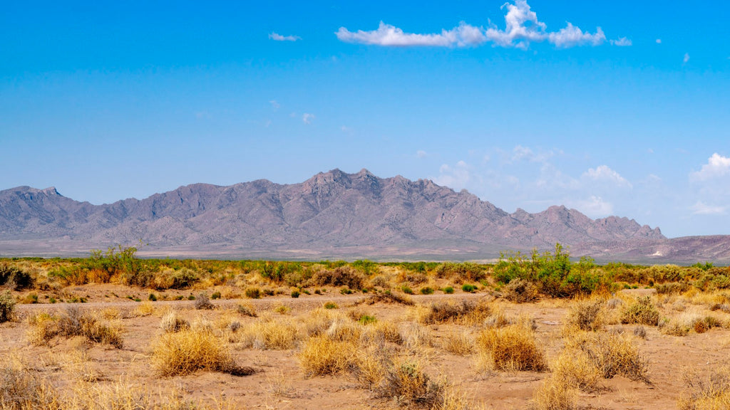10 Acre Homesite with Road Frontage and Electricity in Southern New Mexico