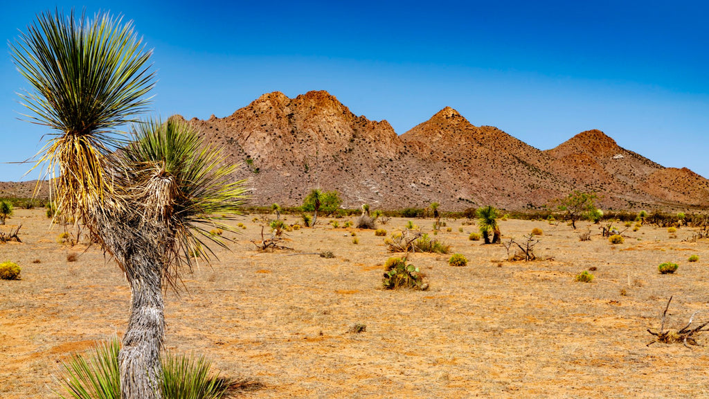 5 acre Homesite near Mountains & BLM Land in Southern New Mexico