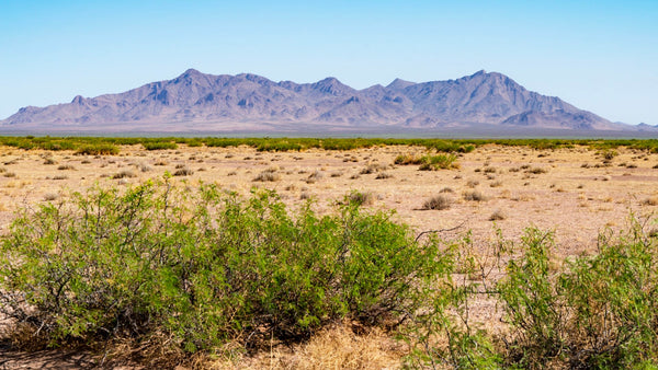 78 Acre Ranch near Electricity, Mountains & BLM Land in Southern New Mexico