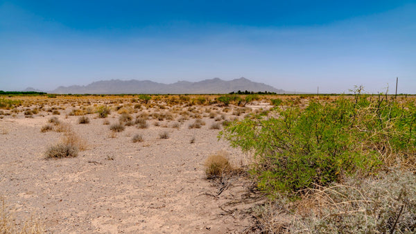 Homesite with County Road Frontage and Electricity near Deming, New Mexico