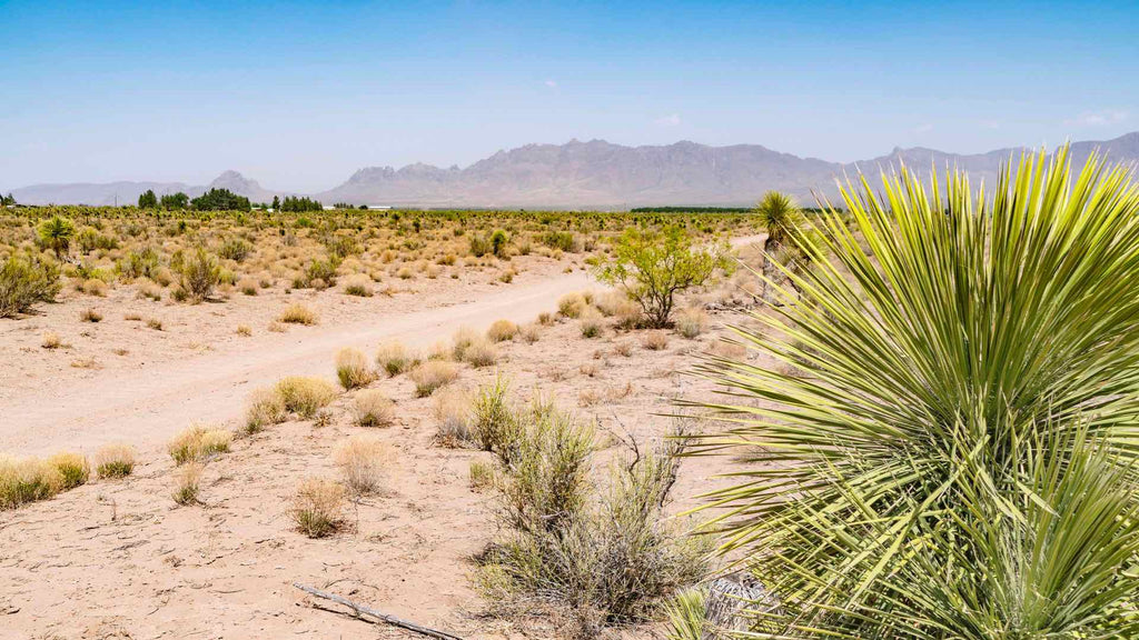 5 Acre Homesite with Road Frontage near Electricity & Telecom in Southern New Mexico