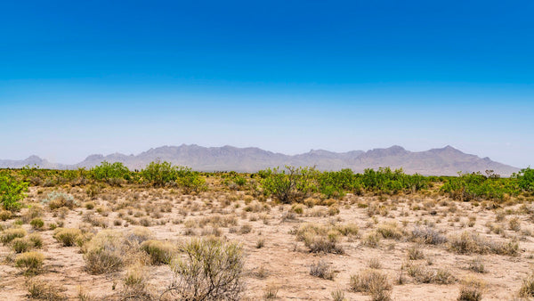 5 Acres with Mountain Views & Road Frontage in New Mexico