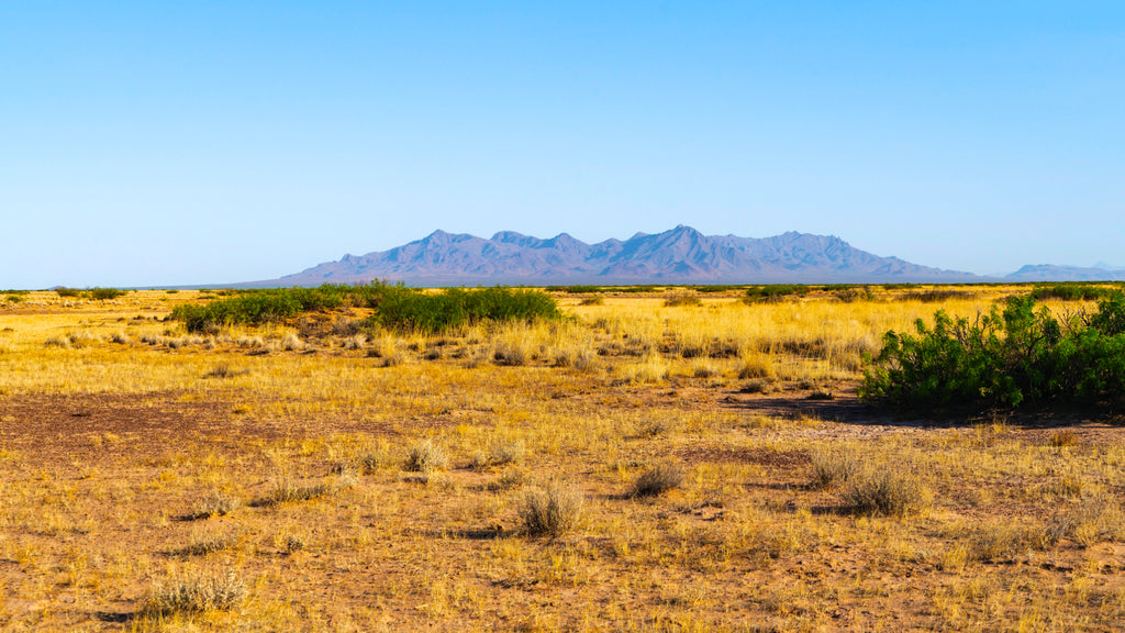 124 Acre Ranch bordering over 1 Million Acres of Public Land : NM_Luna_00023