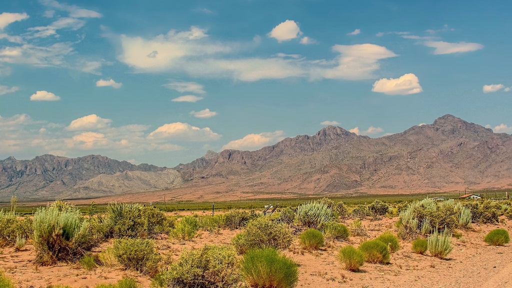 78.87 Acre Ranch with Electricity Bordering Public Land