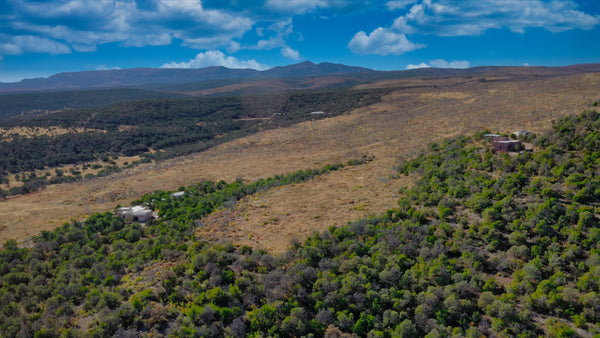 11.5 Acres with Power, Internet, Road Frontage & Mountain Views near National Forest : NM_Torrance_00008