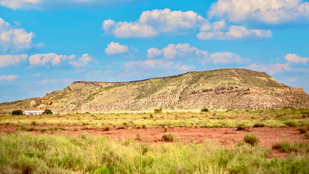 3.36 Acre Corner Lot with Electricity, Road Frontage & Mountain Views : NM_Valencia_00002