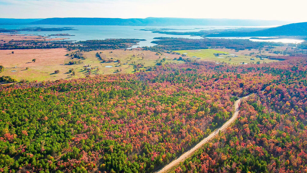 4.6 Acre Homesite Bordering a Creek with Road Frontage & Electricity