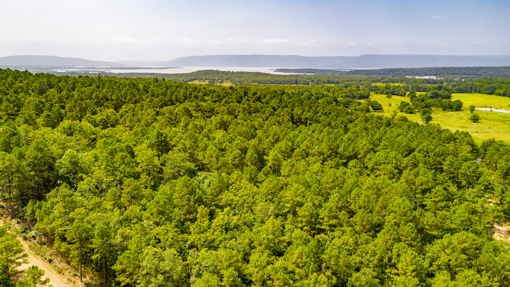 3.38 Acres with Utilities & Small Pond near Sardis Lake : OK_Latimer_00008