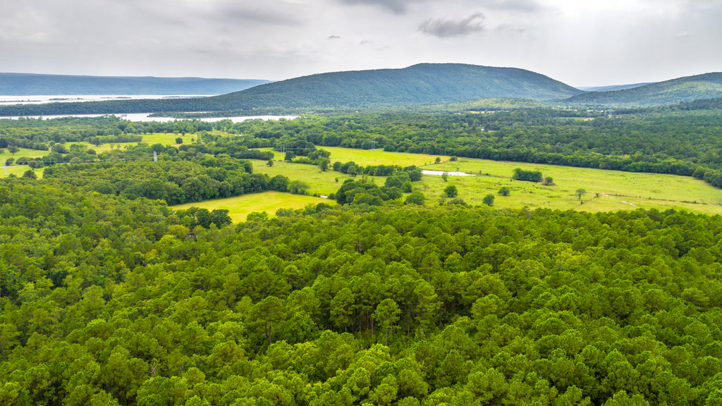 5.61 Wooded Acres with Road Frontage & Utilities near Sardis Lake : OK_Latimer_00014