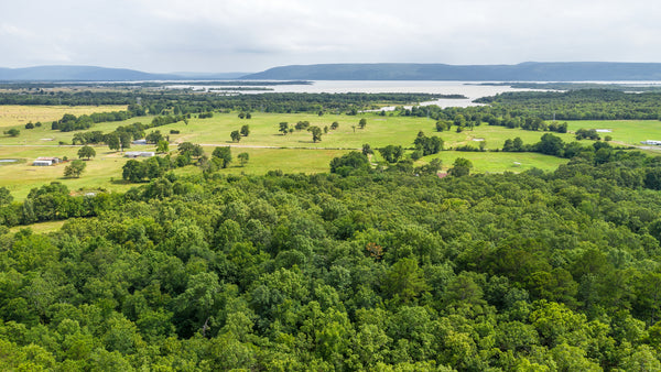 2.27 Wooded Acres with Utilities & Road Frontage near Sardis Lake : Ok_latimer_00015