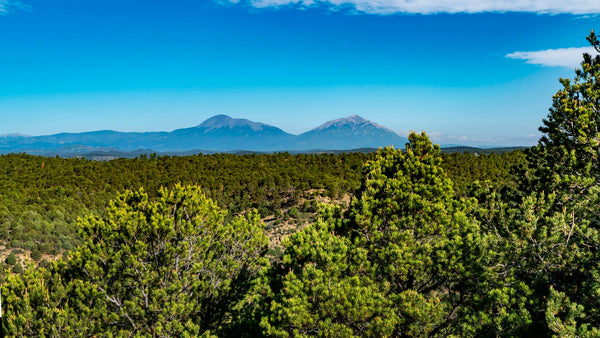 46.62 Acre Wooded Mountain Top Homesite near Trinidad, Colorado - CO_Las-Animas_00026