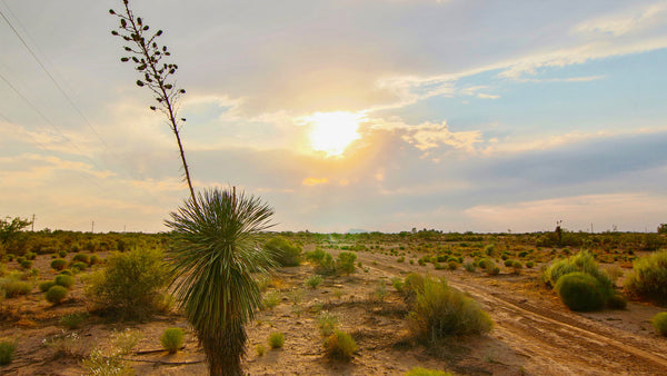 18 Acre Ranch with Power in Deming, NM
