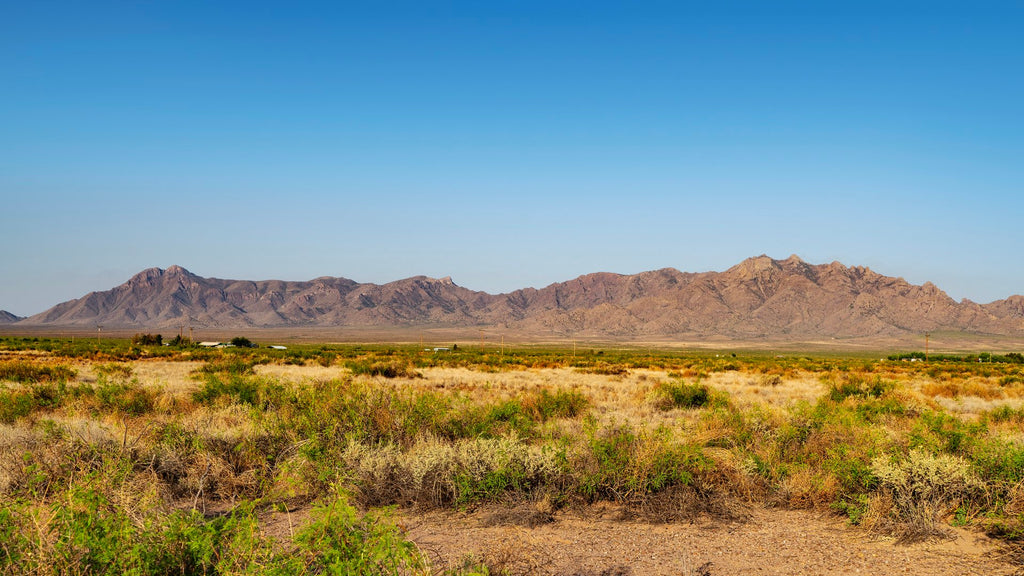 10.33 Acre Ranch with Road Frontage & Electricity near Deming, New Mexico