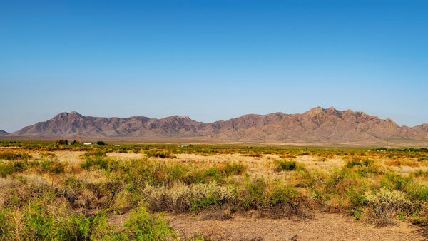 10.33 Acre Ranch with Road Frontage & Electricity near Deming, New Mexico
