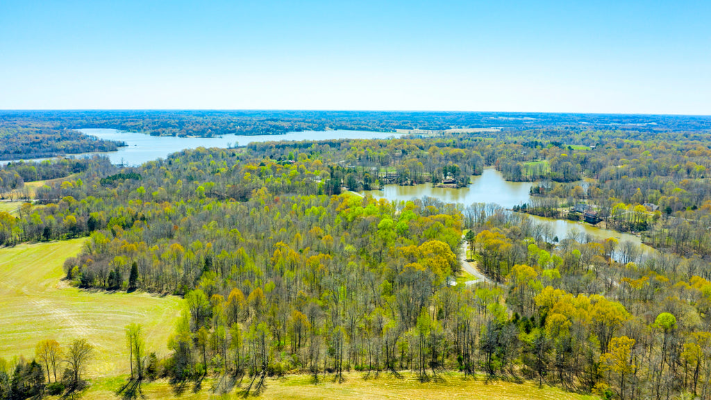 Wooded Lot with Road Frontage & Utilities across from Lake Hayes : TN_Gibson_00002