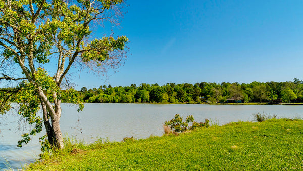 Corner Lot with Utilities & Massive Oak Tree across from Lake : TX_Polk_00023