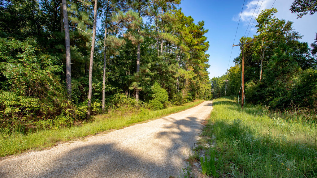 Wooded Homesite with Electricity, Telephone & Internet near Cleveland, Texas