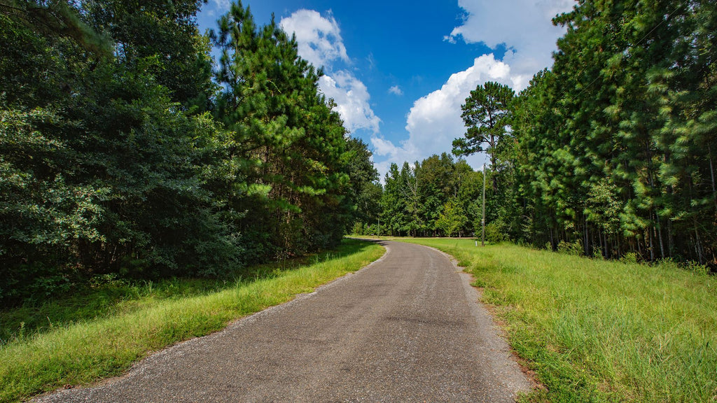 Wooded Homesite with Utilities & Paved Road Frontage near Houston, Texas