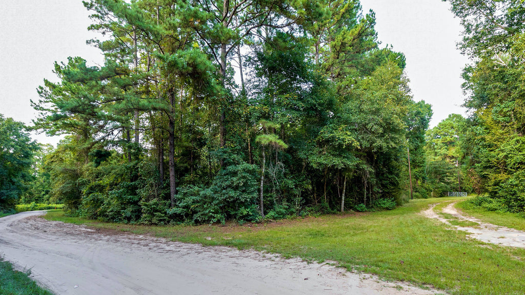 Wooded Corner Lot with Utilities near National Preserve : TX_Liberty_00031