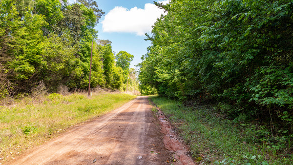 Wooded Lot near National Preserve with Road Frontage & Utilities  : TX_Liberty_00039