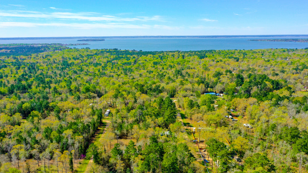 Wooded Lot with Utilities Near Lake Livingston : TX_Polk_00002