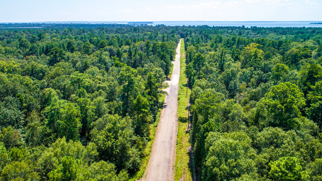 Wooded Lot w Road Frontage & Utilities near Lake Livingston : TX_Polk_00015