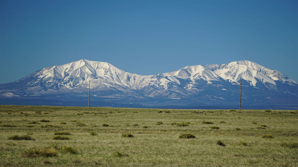 40 Acre Ranch with Power & Mountain Views in Colorado