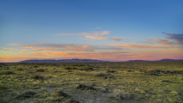 160 Acre Ranch with Creek bordering Public Land in Wyoming