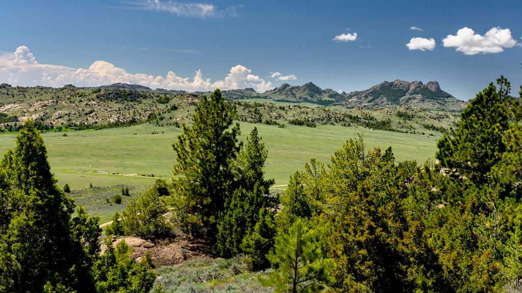 40 Acres bordering Mountainous BLM Land near World-Class Fishing : WY_Carbon_00013