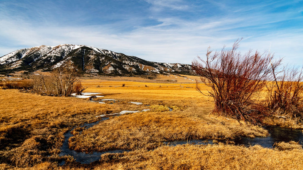 2.05 Acre Lot with Mountain Views near BLM Land & National Forest : WY_Carbon_00018