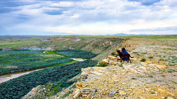 48 Acres along the Little Medicine Bow River in Wyoming