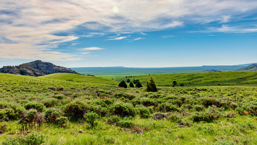 40 Acres with Creek, Road Access & Mountain Views : WY_Carbon_00037