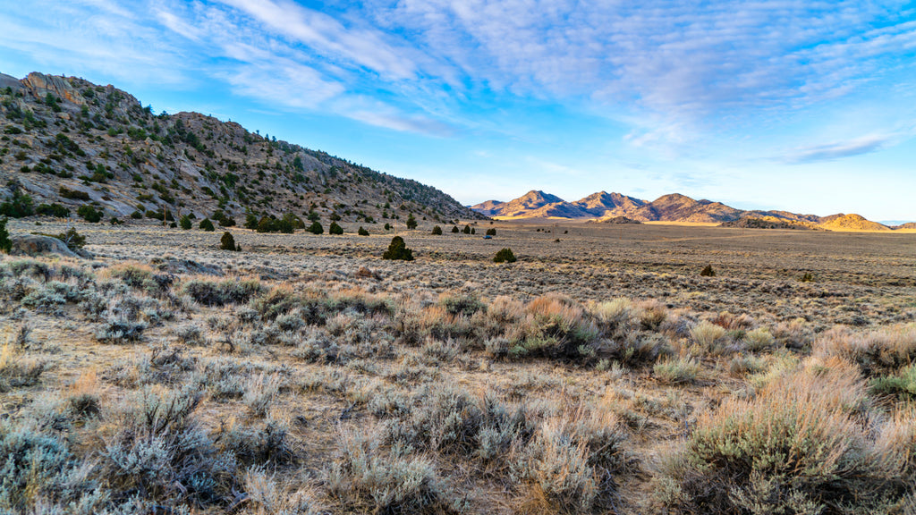 40 Acres near Pathfinder Reservoir with Road Access & Electricity : WY_Carbon_00038 (Partial Down Payment - Culey)