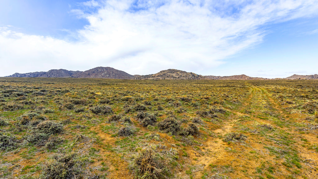 40 Acres with Mountain Views bordering 30,000 Acres of BLM Land : WY_Carbon_00040