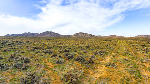 40 Acres with Mountain Views bordering 30,000 Acres of BLM Land : WY_Carbon_00040