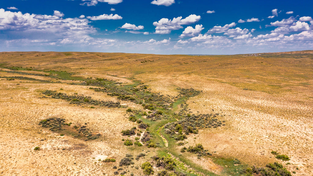 160 Acres  in Wyoming with Dirt Road Access near Casper: WY_Natrona_00001