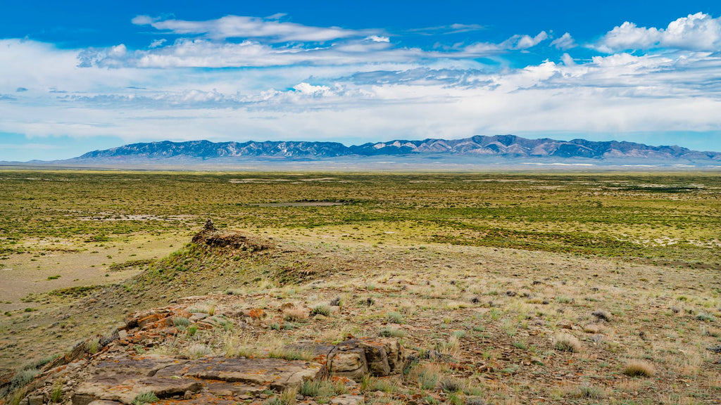 164 Acre Ranch with County Road Frontage bordering Public Land with Creek in Wyoming