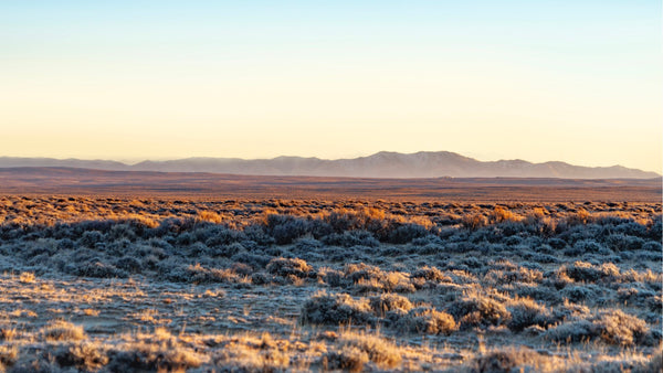 40 Acre Ranch with BLM Road Frontage bordering Public Land near Rawlins, Wyoming