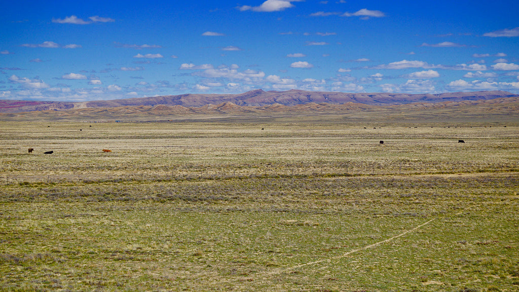80 Ranch with Road Frontage & Mountain Views near Rawlins, Wyoming