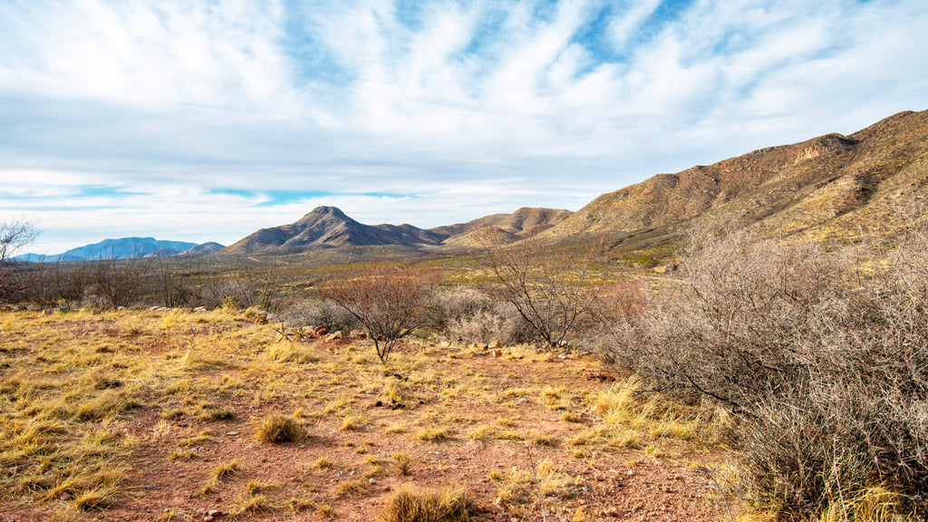 16.27 Acres with Dirt Road Access Bordering Public Land : AZ_Cochise_00001