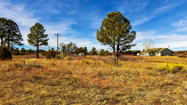 Homesite with Utilities near Apache-Sitgreaves National Forest : AZ_Navajo_00004