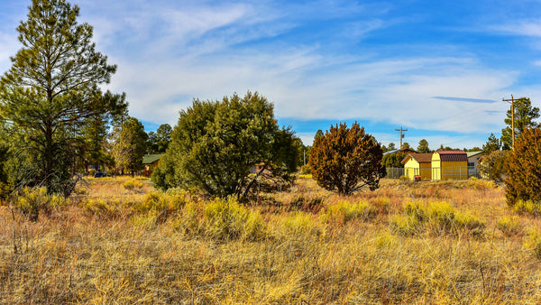 Homesite with Utilities & Road Frontage near National Forest : AZ_Navajo_00002