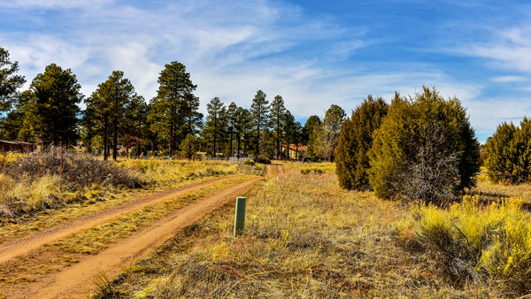 Corner Lot with Utilities & Road Frontage near National Forest : AZ_Navajo_00003