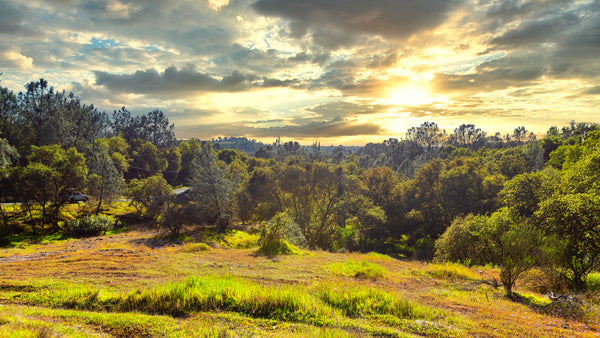 5.45 Acres with Electricity & Paved Road Frontage near Camanche Reservoir : CA_Calaveras_00001