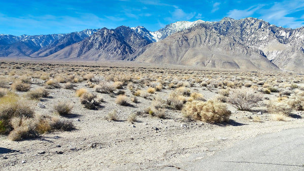 1.18 Acres with Mountain Views near Inyo National Forest : CA_Inyo_00001