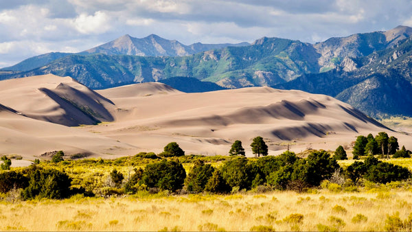 5.08 Acre Homesite with Electricity & County Road Frontage in Southern Colorado near Alamosa - CO_Alamosa_00003
