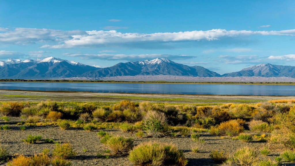 6.13 Acre Homesite with Electricity & Road Frontage : CO_Alamosa_00016