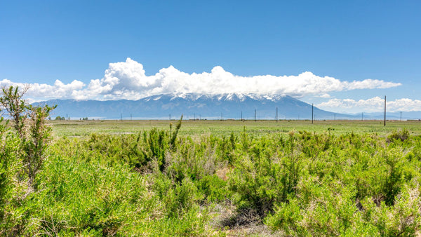 5.77 Acre Homesite with Electricity & County Road Frontage : CO_Alamosa_00041