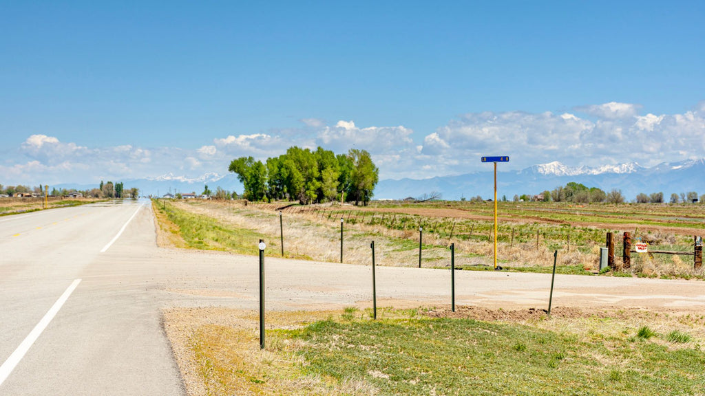 5.35 Acre Homesite with Electricity & Mountain Views : CO_Alamosa_00020