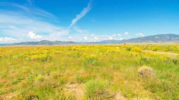 41.57 Acres at Corner of 2 County Roads with Mountain Views : CO_Conejos_00021